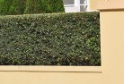 Wantirnahard-landscaping-surfaces-8.jpg; ?>